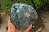 Polished Labradorite Standing Free Forms x 2 From Tulear, Madagascar - Toprock Gemstones and Minerals