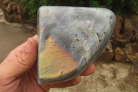 Polished Labradorite Standing Free Forms x 2 From Tulear, Madagascar - Toprock Gemstones and Minerals
