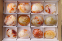 Polished Carnelian Agate Galet - Palmstones x 12 From Madagascar - Toprock Gemstones and Minerals