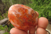 Polished Carnelian Agate Galet - Palmstones x 12 From Madagascar - Toprock Gemstones and Minerals