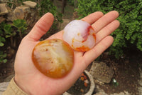 Polished Carnelian Agate Galet - Palmstones x 12 From Madagascar - Toprock Gemstones and Minerals