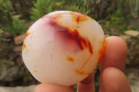 Polished Carnelian Agate Galet - Palmstones x 12 From Madagascar - Toprock Gemstones and Minerals