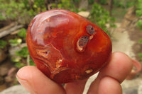 Polished Carnelian Palm Stones x 12 From Madagascar - Toprock Gemstones and Minerals