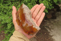 Polished On One Side Red Sashe River Agate Nodules x 3 From Zimbabwe - Toprock Gemstones and Minerals