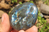 Polished Labradorite Palm Stones x 12 From Tulear, Madagascar - Toprock Gemstones and Minerals