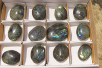 Polished Labradorite Palm Stones x 12 From Tulear, Madagascar - Toprock Gemstones and Minerals