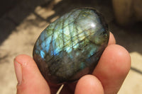 Polished Labradorite Palm Stones x 12 From Tulear, Madagascar - Toprock Gemstones and Minerals