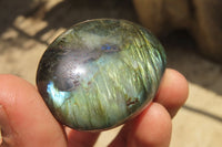 Polished Labradorite Palm Stones x 12 From Tulear, Madagascar - Toprock Gemstones and Minerals