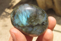 Polished Labradorite Palm Stones x 12 From Tulear, Madagascar - Toprock Gemstones and Minerals