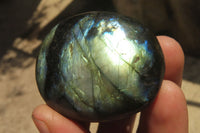 Polished Labradorite Palm Stones x 12 From Tulear, Madagascar - Toprock Gemstones and Minerals