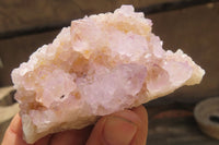 Natural Ametrine Spirit Quartz Clusters x 6 From Boekenhouthoek, South Africa - Toprock Gemstones and Minerals