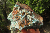 Natural Drusy Chrysocolla Dolomite Pseudomorph Specimen x 1 From Congo - Toprock Gemstones and Minerals