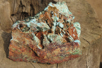 Natural Drusy Chrysocolla Dolomite Pseudomorph Specimen x 1 From Congo - Toprock Gemstones and Minerals