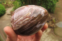 Polished Red Podocarpus Petrified Wood Eggs & Spheres x 4 From Madagascar - Toprock Gemstones and Minerals