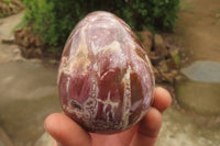 Polished Red Podocarpus Petrified Wood Eggs & Spheres x 4 From Madagascar - Toprock Gemstones and Minerals
