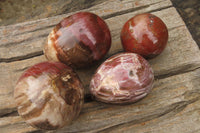 Polished Red Podocarpus Petrified Wood Eggs & Spheres x 4 From Madagascar - Toprock Gemstones and Minerals