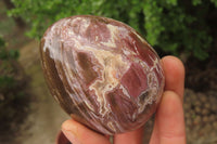 Polished Red Podocarpus Petrified Wood Eggs & Spheres x 4 From Madagascar - Toprock Gemstones and Minerals