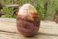 Polished Red Podocarpus Petrified Wood Eggs & Spheres x 4 From Madagascar - Toprock Gemstones and Minerals