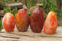 Polished Carnelian Standing Free Forms x 4 From Madagascar - Toprock Gemstones and Minerals