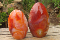 Polished Carnelian Standing Free Forms x 4 From Madagascar - Toprock Gemstones and Minerals