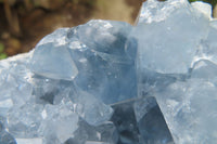 Natural Celestite Geode Specimen x 1 From Sakoany, Madagascar - Toprock Gemstones and Minerals