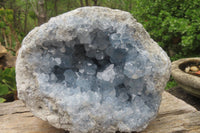 Natural Celestite Geode Specimen x 1 From Sakoany, Madagascar - Toprock Gemstones and Minerals