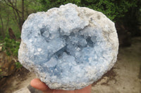 Natural Celestite Geode Specimen x 1 From Sakoany, Madagascar - Toprock Gemstones and Minerals