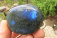 Polished Labradorite Palm Stones x 12 From Tulear, Madagascar - Toprock Gemstones and Minerals