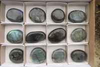 Polished Labradorite Palm Stones x 12 From Tulear, Madagascar - Toprock Gemstones and Minerals