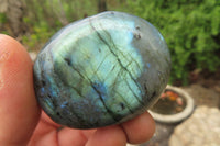 Polished Labradorite Palm Stones x 12 From Tulear, Madagascar - Toprock Gemstones and Minerals