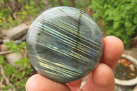 Polished Labradorite Palm Stones x 12 From Tulear, Madagascar - Toprock Gemstones and Minerals