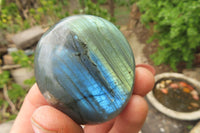 Polished Labradorite Palm Stones x 12 From Tulear, Madagascar - Toprock Gemstones and Minerals