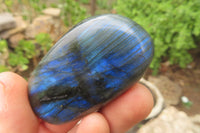 Polished Labradorite Palm Stones x 12 From Tulear, Madagascar - Toprock Gemstones and Minerals