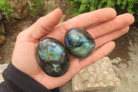 Polished Labradorite Palm Stones x 12 From Tulear, Madagascar - Toprock Gemstones and Minerals
