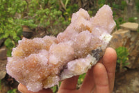 Natural Ametrine Spirit Quartz Clusters x 2 From Boekenhouthoek, South Africa - Toprock Gemstones and Minerals