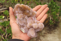 Natural Ametrine Spirit Quartz Clusters x 2 From Boekenhouthoek, South Africa - Toprock Gemstones and Minerals