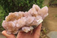 Natural Ametrine Spirit Quartz Clusters x 2 From Boekenhouthoek, South Africa - Toprock Gemstones and Minerals
