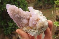Natural Ametrine Spirit Quartz Clusters x 2 From Boekenhouthoek, South Africa - Toprock Gemstones and Minerals