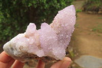Natural Ametrine Spirit Quartz Clusters x 2 From Boekenhouthoek, South Africa - Toprock Gemstones and Minerals