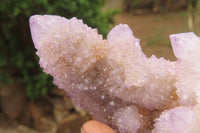 Natural Ametrine Spirit Quartz Clusters x 2 From Boekenhouthoek, South Africa - Toprock Gemstones and Minerals