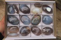 Polished Banded Agate Palm Stones x 15 From Madagascar - Toprock Gemstones and Minerals