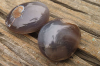 Polished Banded Agate Palm Stones x 15 From Madagascar - Toprock Gemstones and Minerals