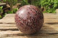 Polished Pyrope Garnet Matrix Spheres x 2 From Madagascar - Toprock Gemstones and Minerals