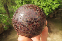 Polished Pyrope Garnet Matrix Spheres x 2 From Madagascar - Toprock Gemstones and Minerals
