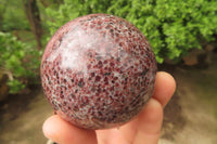 Polished Pyrope Garnet Matrix Spheres x 2 From Madagascar - Toprock Gemstones and Minerals