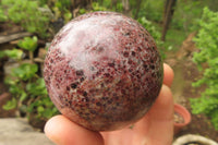 Polished Pyrope Garnet Matrix Spheres x 2 From Madagascar - Toprock Gemstones and Minerals