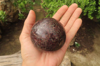 Polished Pyrope Garnet Matrix Spheres x 2 From Madagascar - Toprock Gemstones and Minerals