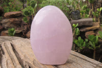 Polished Blue Rose Quartz Standing Free Forms x 2 From Madagascar - Toprock Gemstones and Minerals