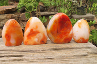 Polished Carnelian Standing Free Forms x 4 From Madagascar - Toprock Gemstones and Minerals