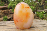 Polished Carnelian Standing Free Forms x 4 From Madagascar - Toprock Gemstones and Minerals